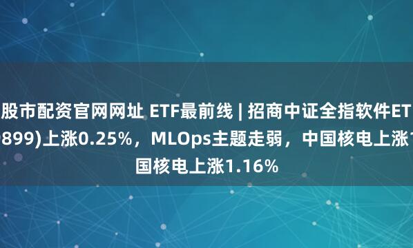 股市配资官网网址 ETF最前线 | 招商中证全指软件ETF(159899)上涨0.25%，MLOps主题走弱，中国核电上涨1.16%