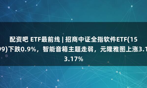 配资吧 ETF最前线 | 招商中证全指软件ETF(159899)下跌0.9%，智能音箱主题走弱，元隆雅图上涨3.17%