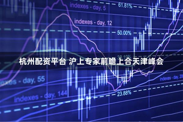杭州配资平台 沪上专家前瞻上合天津峰会